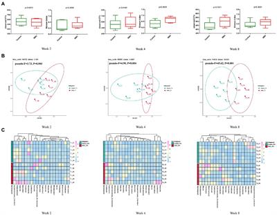 Long-term simulated microgravity alters gut microbiota and metabolome in mice